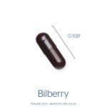 Bilberry 160mg 120's - Image 3