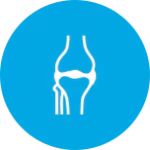 Bone and Musculoskeletal Health