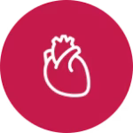 Cardiovascular Health