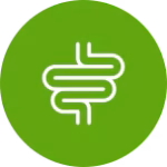 Gastrointestinal Health